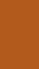HZ 022 PG - Orange Glossy