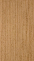HZ 601 D - Chocolate Callisto Phyton